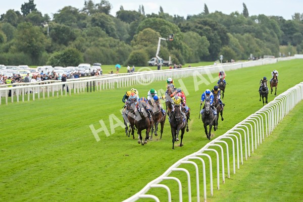 240824-Race 2-Tabletalk-1272 - Race 2 2.25pm Sky Bet Melrose Handicap