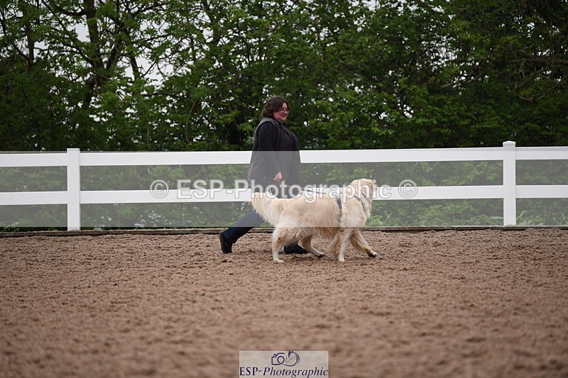 240518A-124722-01192 - Cls 5 Best Purebred