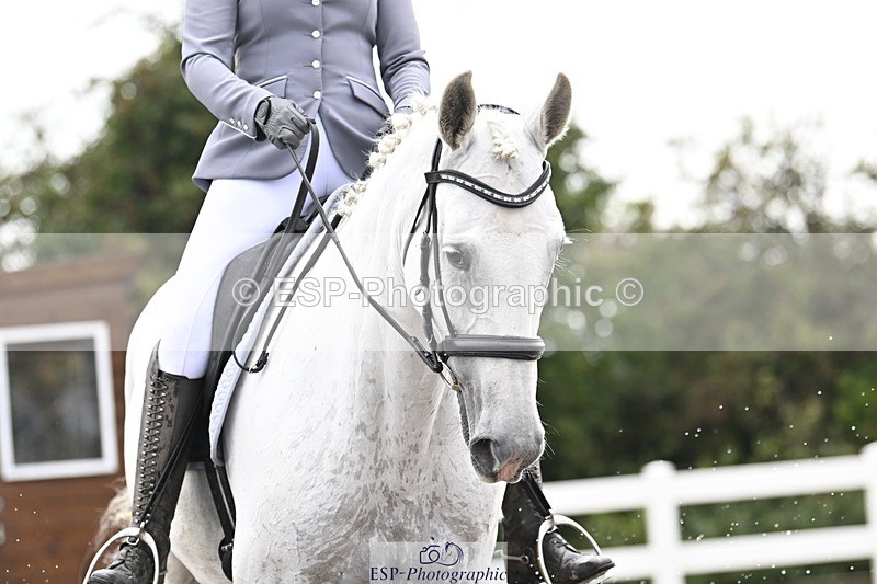 250907-104519-06346 - 070-Charlotte.DoreyDeards.Silver.Bounce