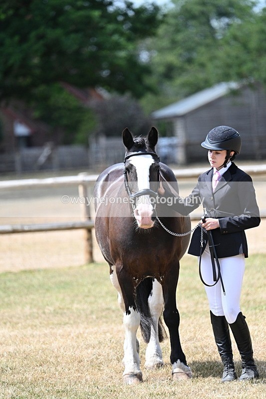 WJ7_1985 - Class 4a Prettiest Mare 14.2hh and over hand