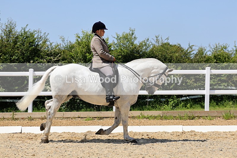 1X9A1734 - Class 11: Ridden Cob