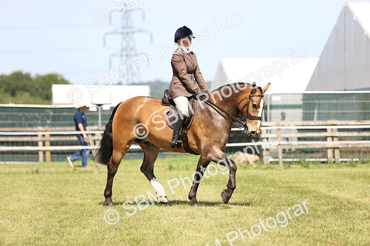 SBM_13803 - Class 77 - LIHS BSHA Rising Star Cobs