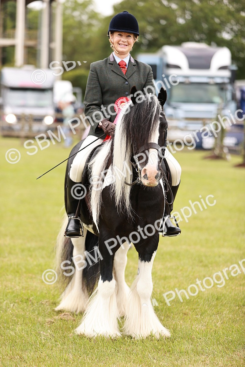 SBM_06241 - Class 39-41 TGCA In Hand and Ridden