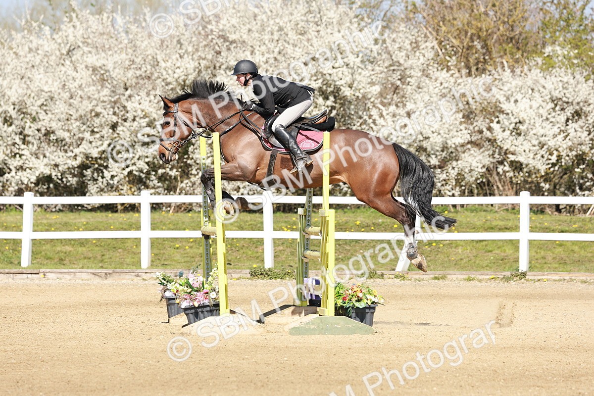 SBM_004088 - Class 17 - Senior Newcomers - 1.10m
