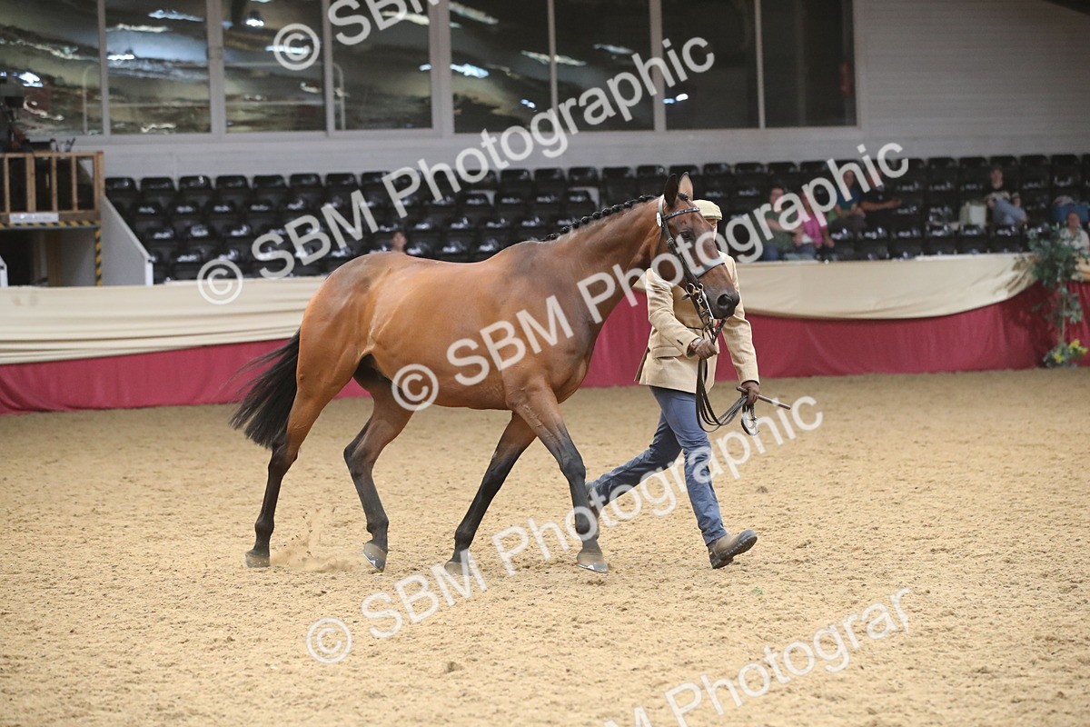 SBM_05679 - Class 9R - Regional IH Pre-Vet