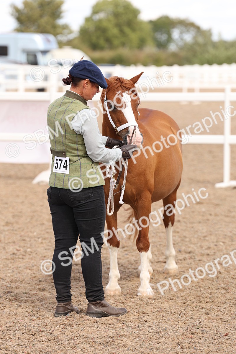 SBM_15103 - Class 209 - IH Veteran Pony