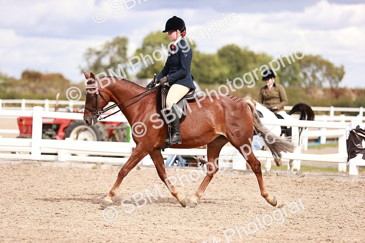 SBM_14283 - Class 408 - Grassroots Ridden -Walk & Trot
