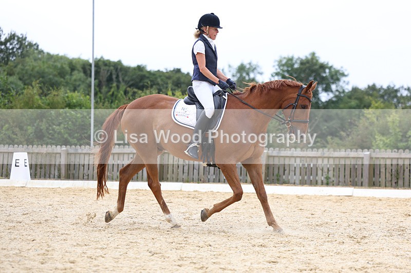 3E7A7240 - Class 9: Elementary 4 2024 - No sections