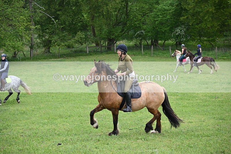 WJ6_3355 - A camera