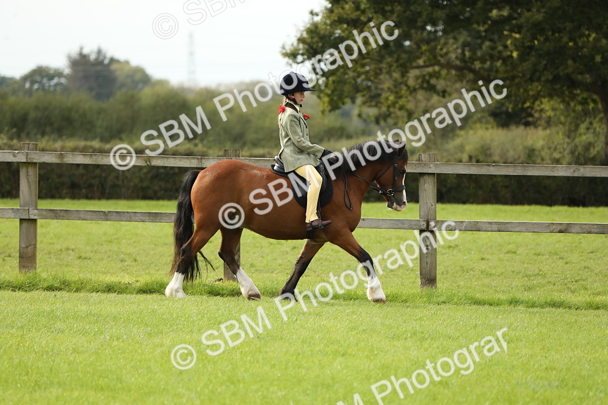 SBM_71489 - S41 - Ridden Equitation (Best Rider)