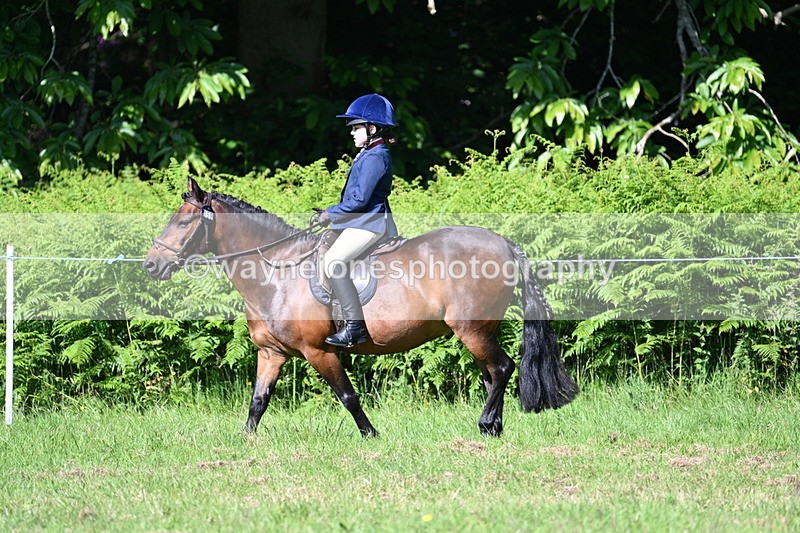 WJ7_0366 - Class 8 First Rally Pony