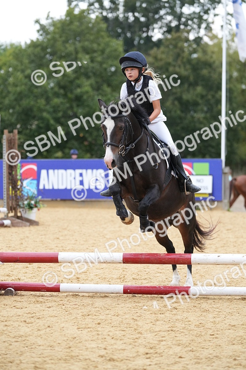 SBM_74598 - J4 - Mini Tour Junior Pony 45cm Championship