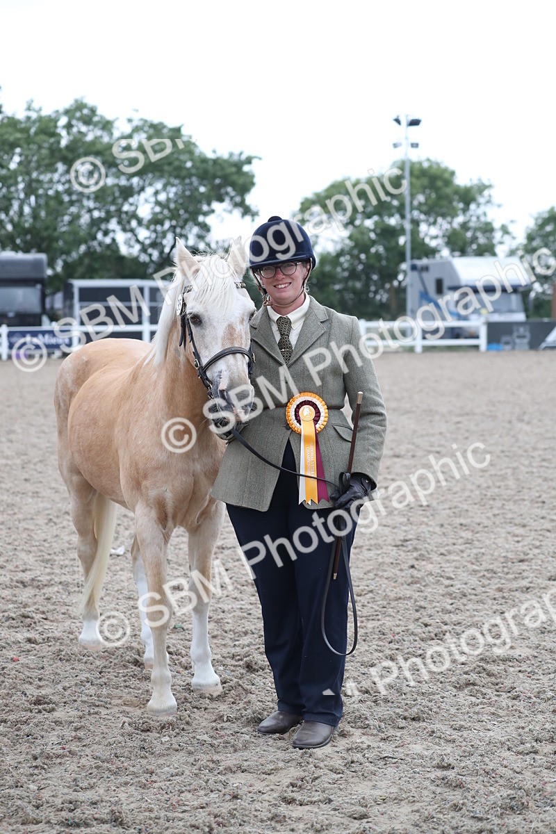 SBM_18008 - Class 317 IH Pure bred Horse/Pony