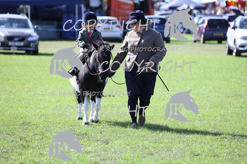 APP_3905 - Class 13 Lead rein