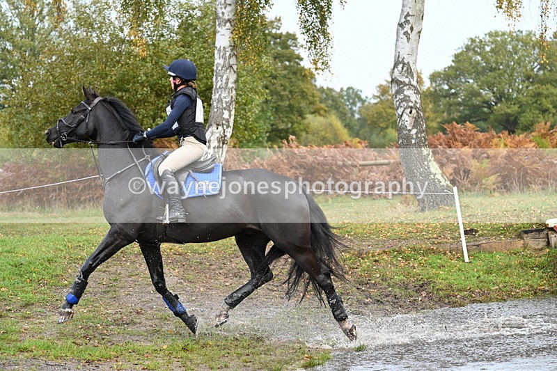 WJ7_9820 - 80cm Cam 2 Water Time 10:24 to 10:44