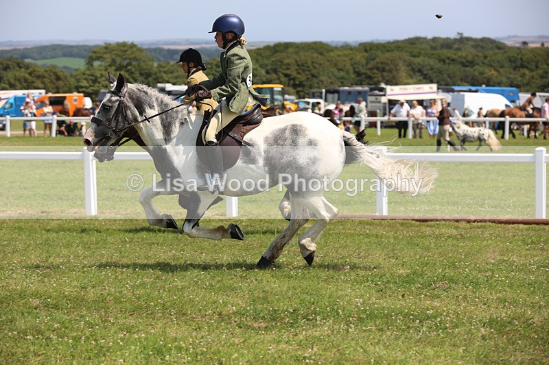 JPP_3296 - Class 22: Working Hunter 70cm