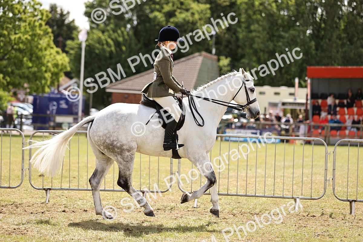 SBM_14531 - Class 88-89 - LIHS BSHA Rising Star of Ridden Hunter Type