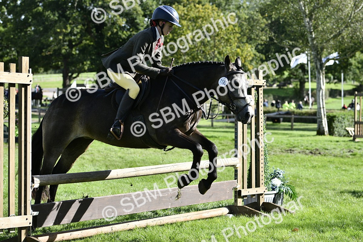 SBM_49993 - S34 - Novice & Newcomers Working Hunter