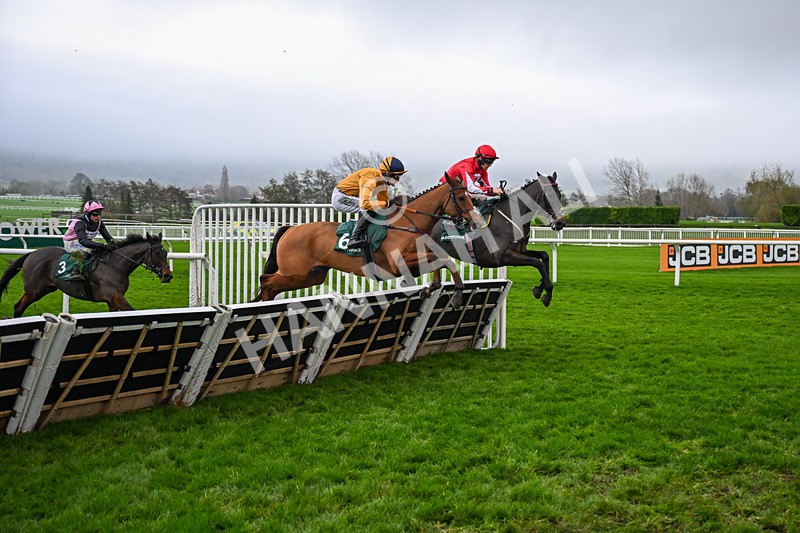 151125-Race 5-Kikijo-3932 - Race 5