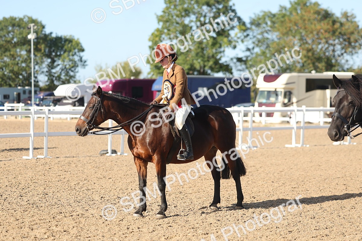 SBM_22145 - Class 801 - Ridden Veterans