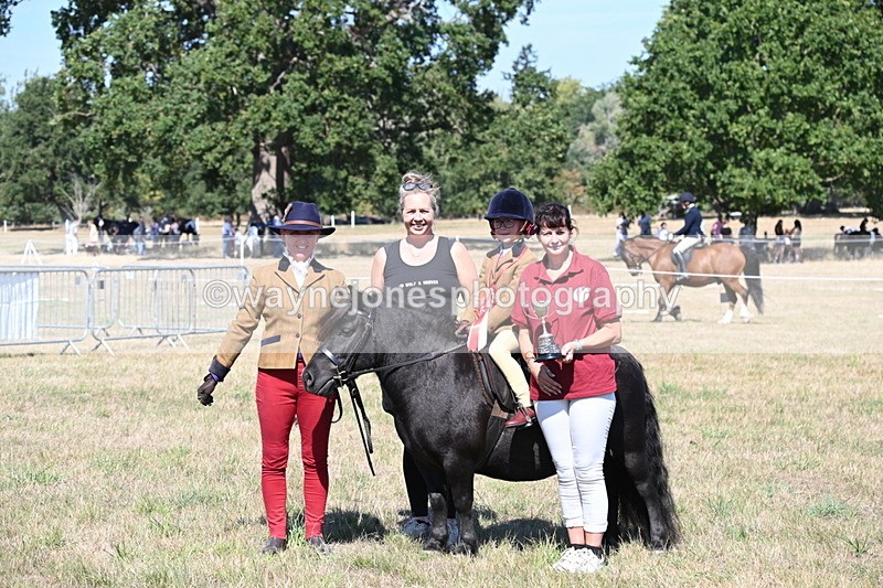 WJ6_8115 - Class 36 Lead Rein