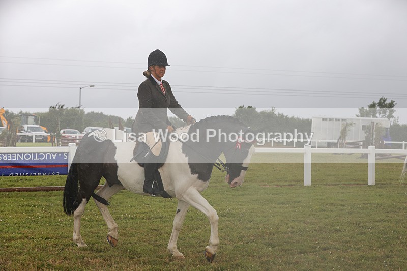 1X9A2986 - Class 26: Ridden Plaited Coloured Pony