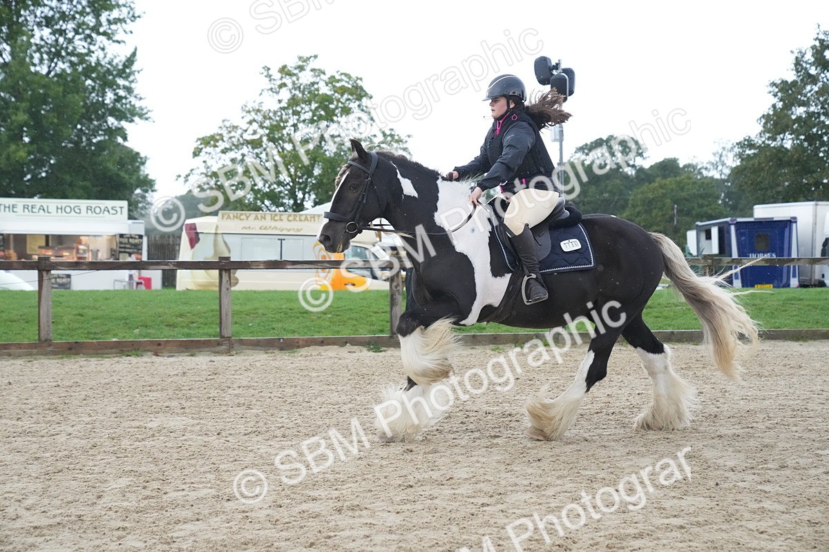 SBM_01581 - J54 - Clear Round 50cm