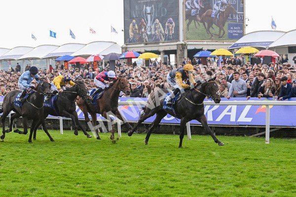 121024-Race 1-Jungle Drums-2567 - Race 1 1.30pm Coral Rockingham Stakes