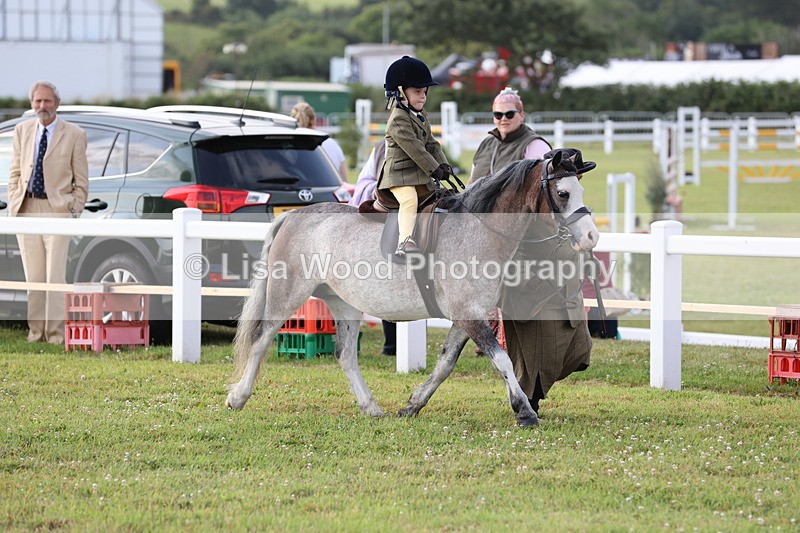 JPP_0195 - Class 14: Cornish Combination Leading Rein