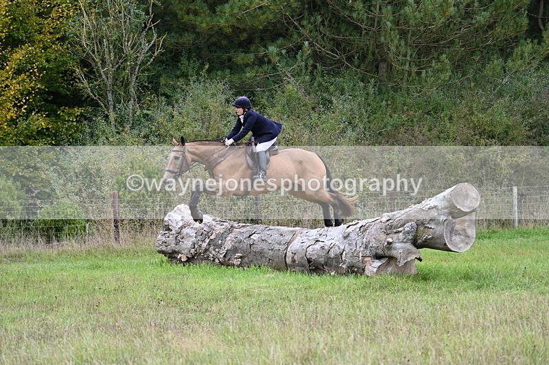 WJ7_3703 - Camera 1 Line 1