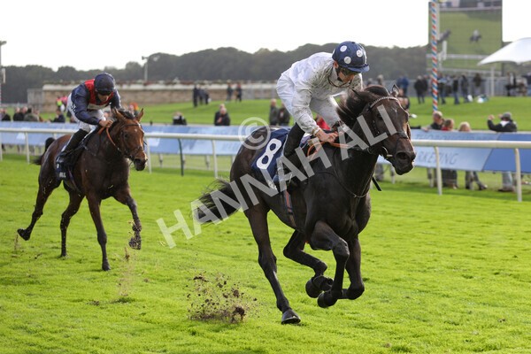 yr07102022r4-44 - Race 4 3.50pm William Hill Best Odds Guaranteed Stakes