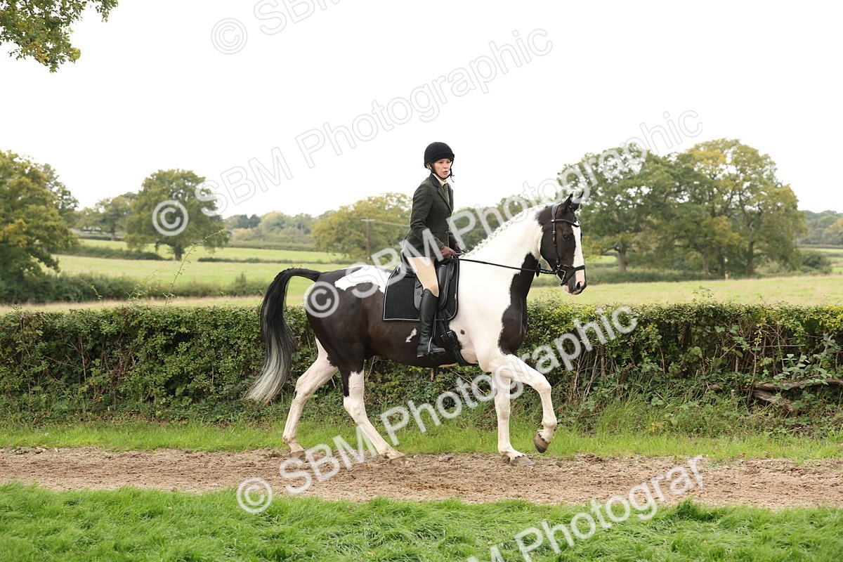 SBM_67233 - S67 - Piebald & Skewbald Horse Ridden