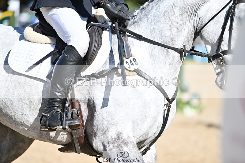 231022-130326-26913 - 348-KILMINGTON.FOLLY-Gubby.Leech-SJ