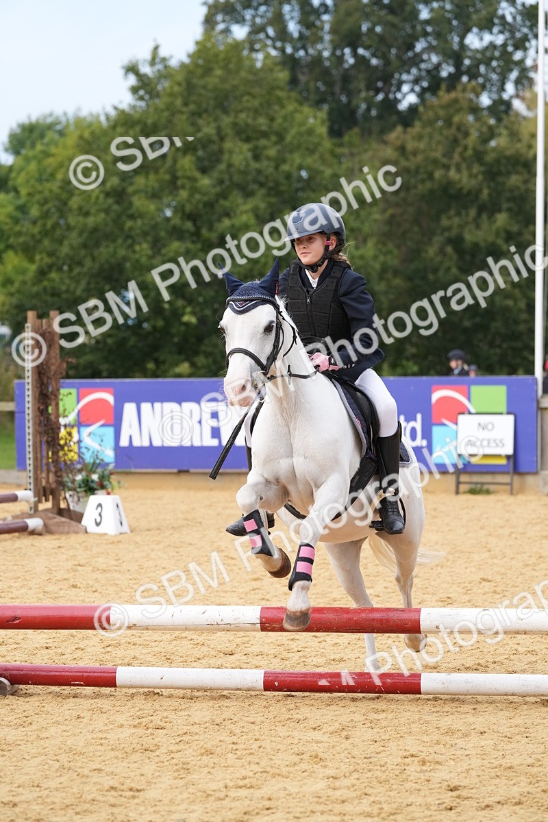 SBM_70627 - J3 - Mini Tour Junior Pony 40cm Championship
