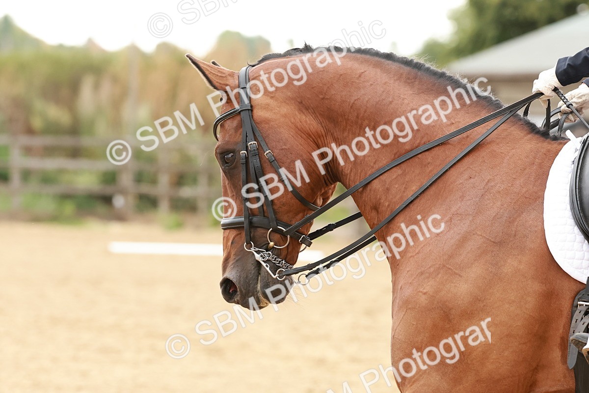 SBM_001765 - Elementary 1-2