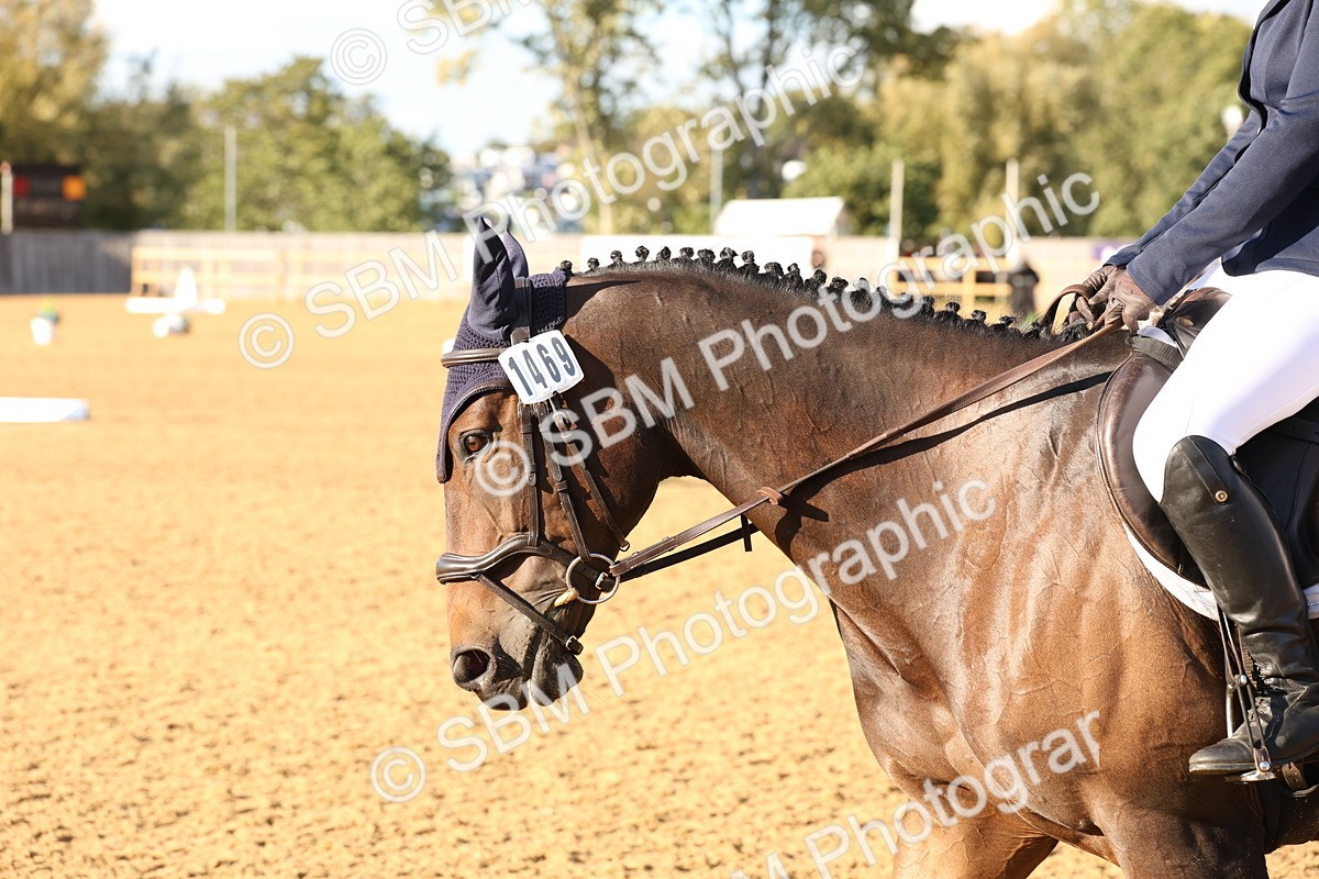 SBM_52722 - D12 - Small Tour Championship prelim 2