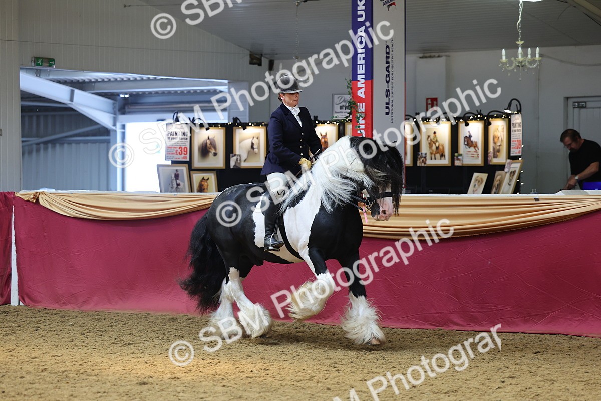 SBM_24058 - Class 905 - Supreme Final - Ridden Veteran