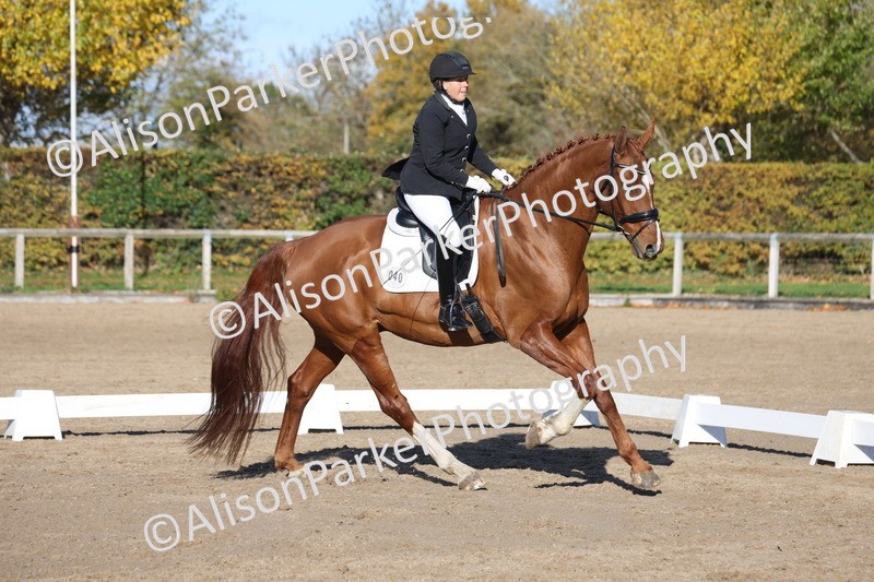 20251102-0955 - Class 5 - Elementary 5