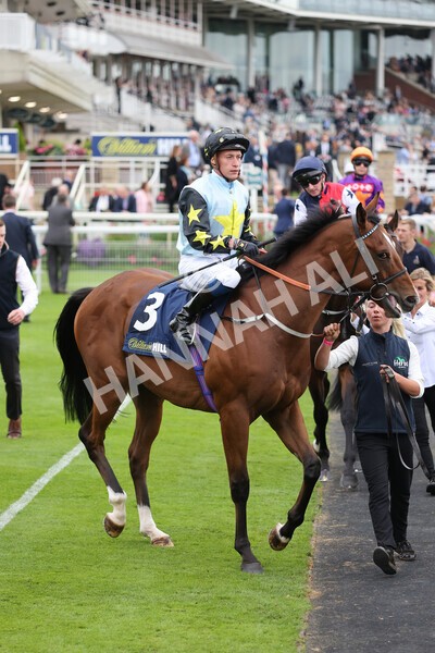 yr24092021r3-15 - Race 3 2.40pm WilliamHill.com Best Odds Guaranteed Stakes