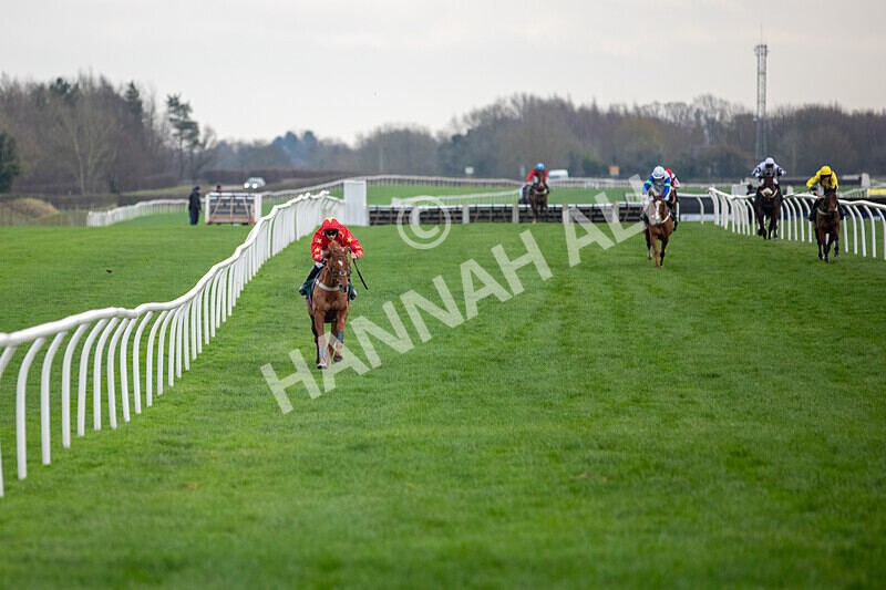 171224-Race 4-Wise Eagle-0183 - Race 4