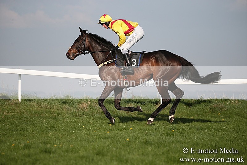 PtP 210418 561 - South & West Wilts Point-to-Point Larkhill 21/04/18