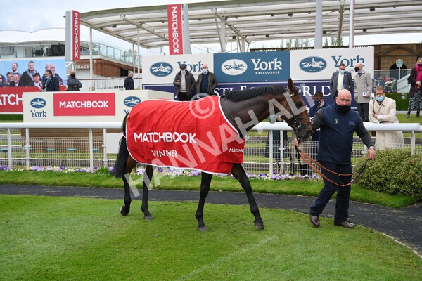 yr14052021r3-41 - Race 3 2.40pm The Matchbook Best Value Exchange Stakes