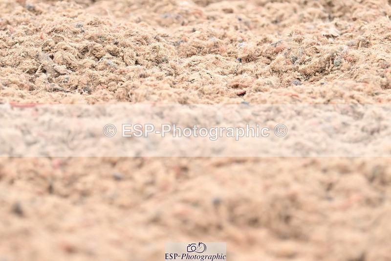 240621A-182209-06246 - Cls 17 BD FEI PSG