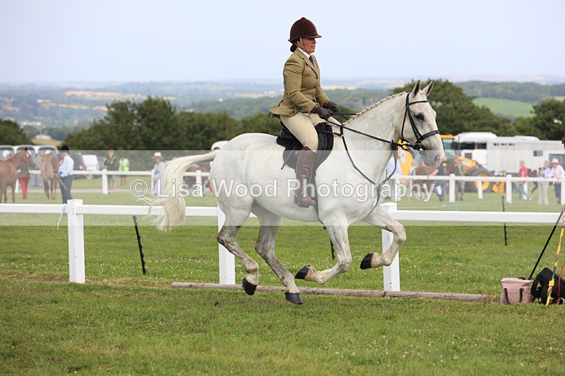 JPP_3849 - Class 23: Working Hunter 80cm