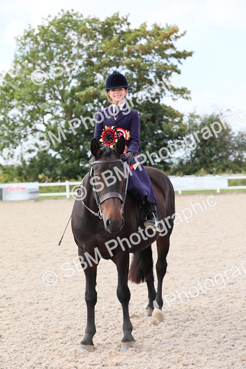 SBM_14602 - Class 211 Best Side Saddle Horse/Pony