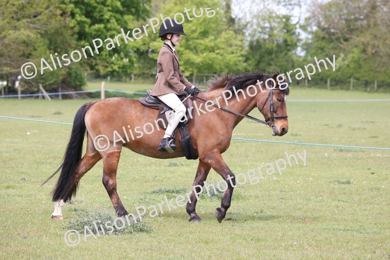 20260426-2901 - Class 33 - Best Pony 14.2hh and Under