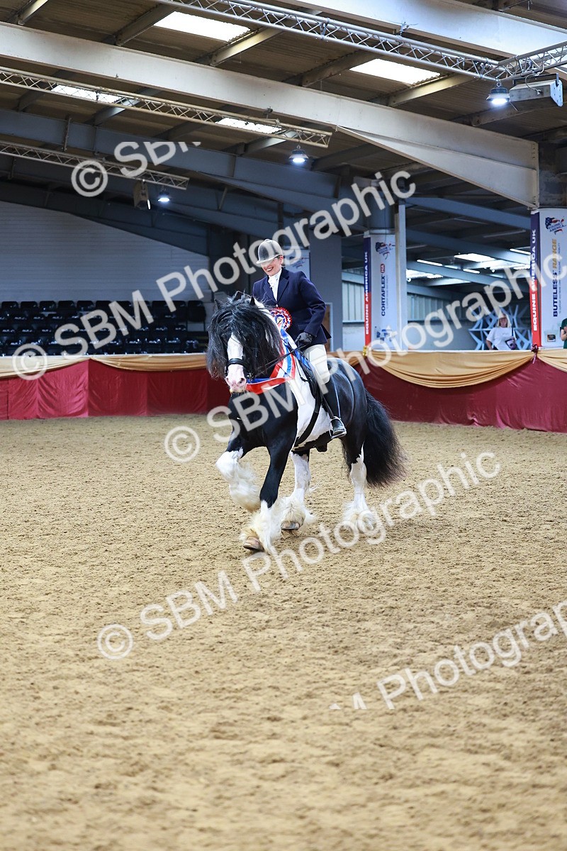 SBM_20872