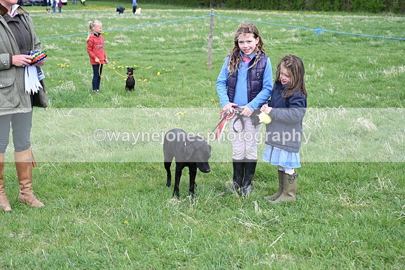 WJ6_8157 - Class 2 Best Pedigree