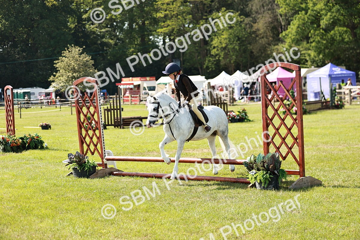 SBM_12687 - Class 106-107 - BSPS LIHS Working Sports Pony