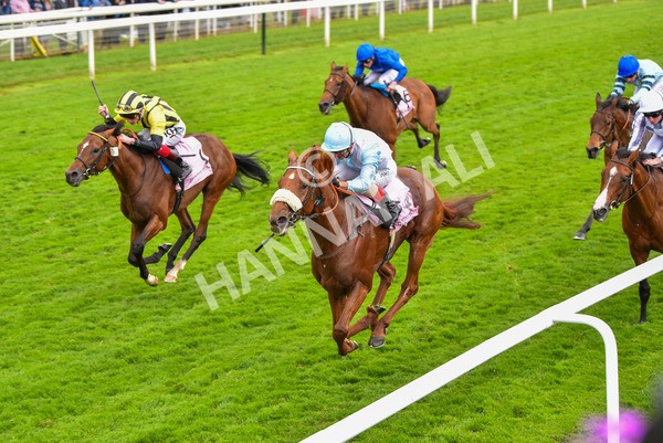 190523-Race 4-Giavellotto-0821 - Race 4 3.35pm Boodles Yorkshire Cup Stakes